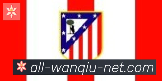 玩球直播合作伙伴